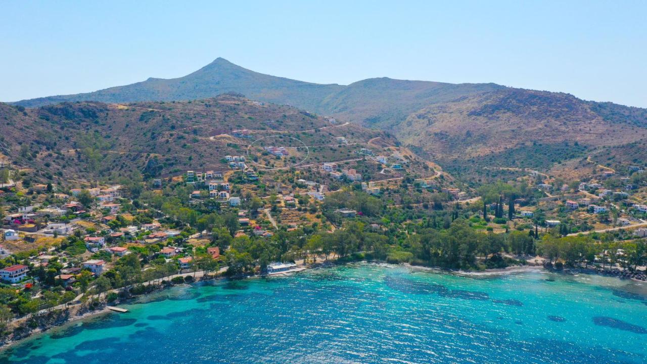 Villa Harmonia Aegina 外观 照片